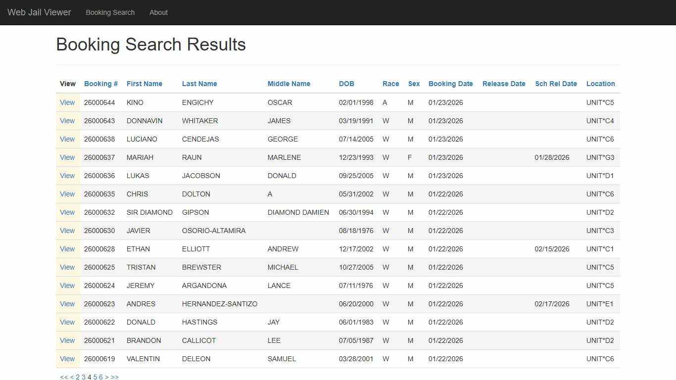 BookingSearchDetail - Web Jail Viewer