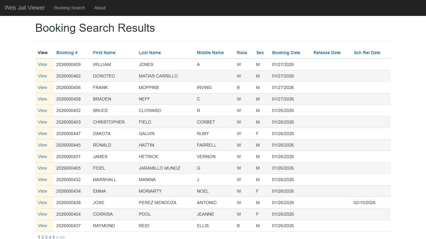 BookingSearchDetail - Web Jail Viewer